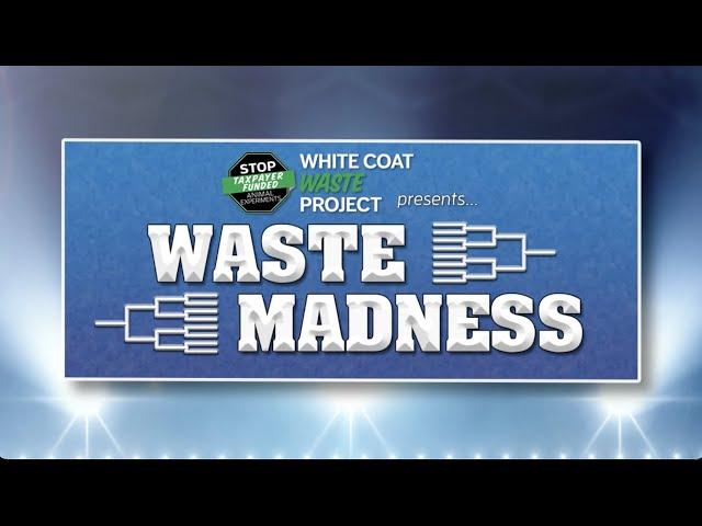 White Coat Waste's WASTE MADNESS