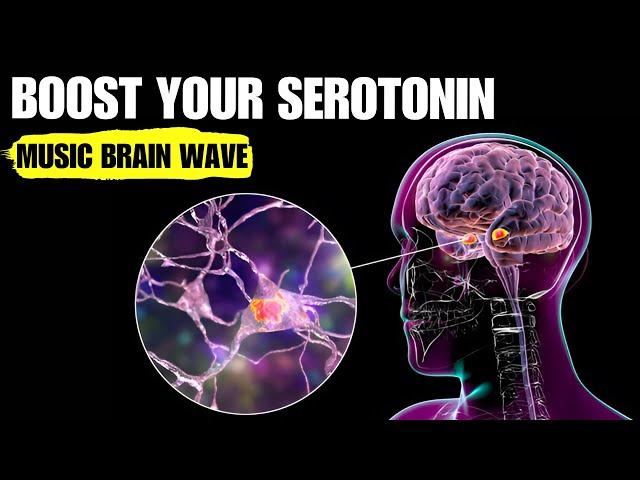 Meditation to Increase Seretonin Naturally - Billionaire Brain Wave