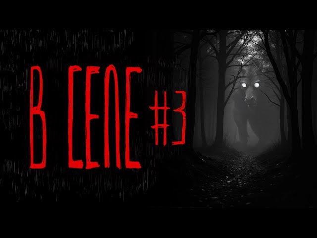 В СЕЛЕ #3 | Тени Города