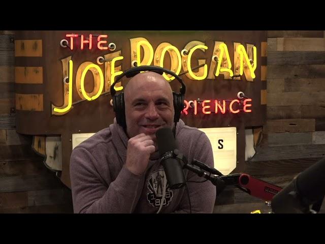 Joe Rogan Experience #1835 - Mike Judge