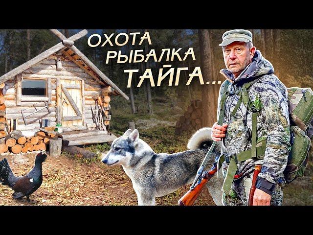 Один в Тайге. Охота с лайкой, Рыбалка, Жизнь в лесу.