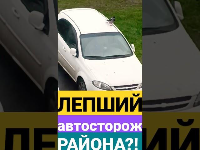 ЛЕПШИЙ АВТОСТОРОЖ района?!