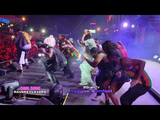 Ding Dong Ravers Reggae Sumfest 2024
