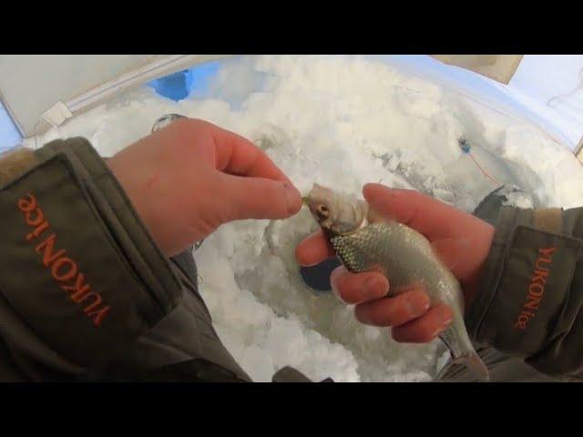 Зимняя рыбалка!Лещ и его поклёвки на мормышку!!!