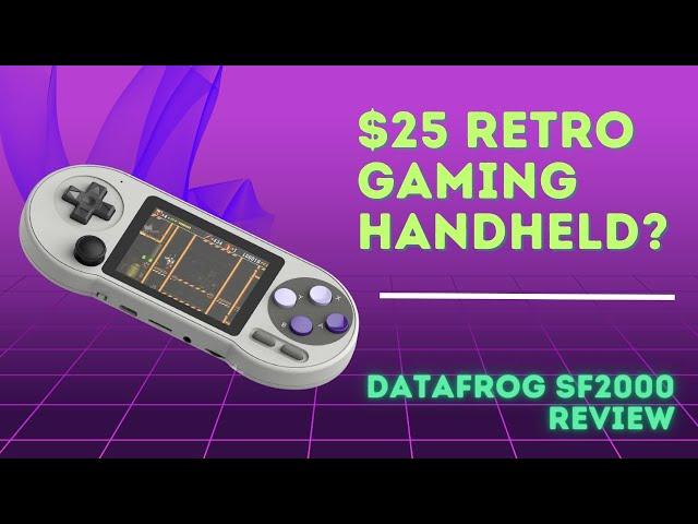 Data Frog SF2000 Handheld Review