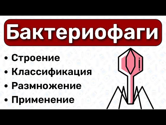 Бактериофаги МИКРОБИОЛОГИЯ: строение бактериофага, цикл бактериофагов, применение бактериофагов