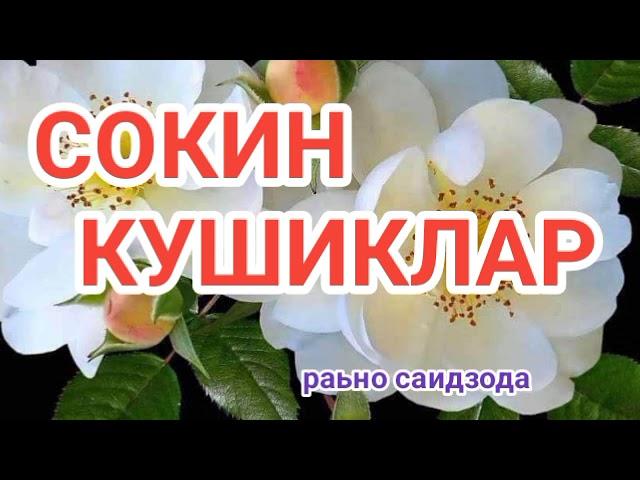 КЕЧГИ ПРЕМЬЕРАГА ХУШ КЕЛДИНГИЗ ХАЙРЛИ КЕЧ