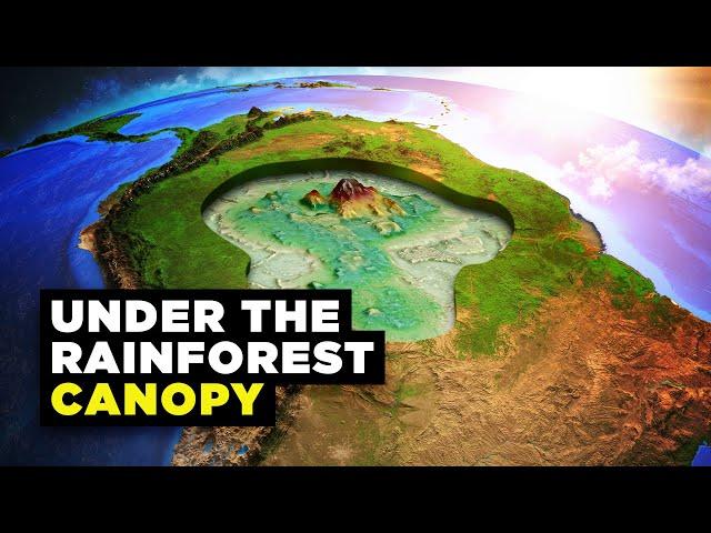 What's Hidden Under the Trees of the Amazon Rainforest?