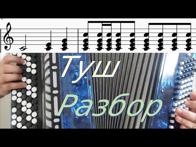 Туш: Как играть на Баяне - Три способа + НОТЫ [Tush on Accordion - Tutorial]