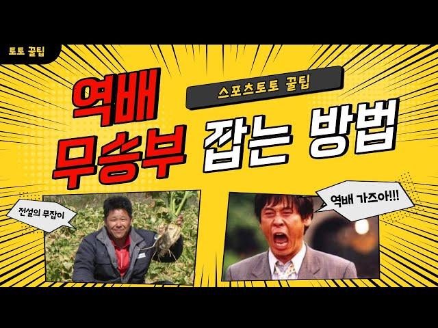 상남자의 인생한방토토 역배, 무승부 잡는 비결