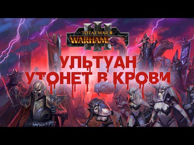 Тёмные Эльфы. Фракции Total War Warhammer 3