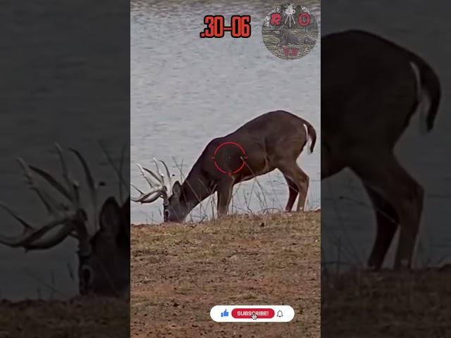 .30-06PUNCHES | Deer Hunting #texas #viral #caceria #deerhunting #shooting #gunops #scopecam