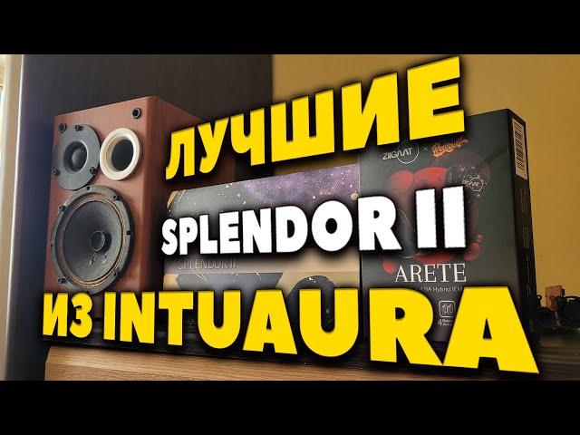 Как Вложить 250$ в ЗВУК Грамотно? INTUAURA Splendor II vs Ziigaat ARETE