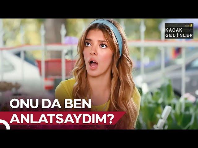 Herkes Her Şeyi Nasıl Öğrenebildi? | Günlük Şebnem Dozu #25