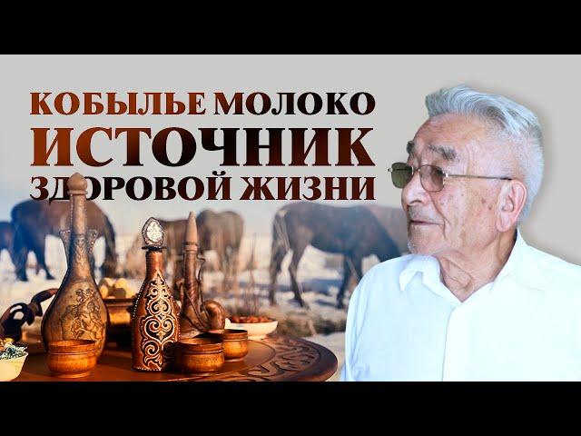 Кобылье молоко источник здоровой жизни