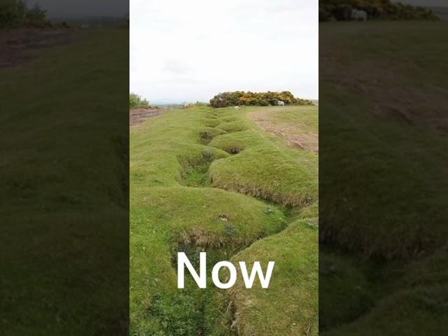 Trenches then VS now