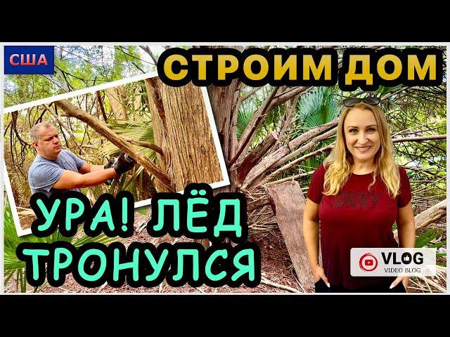 Хорошие новости! Назначили дату расчистки участка!Едем выкапывать пальму и пилить можжевельник. США