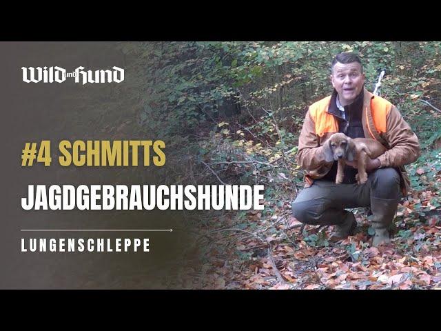 Schmitt's Hunting Dogs - THE LUNG DRAG - Episode 4