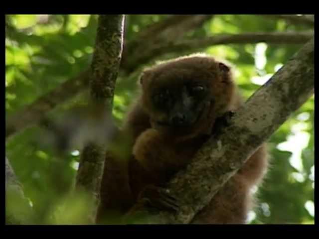 Biodiversity Hot Spots