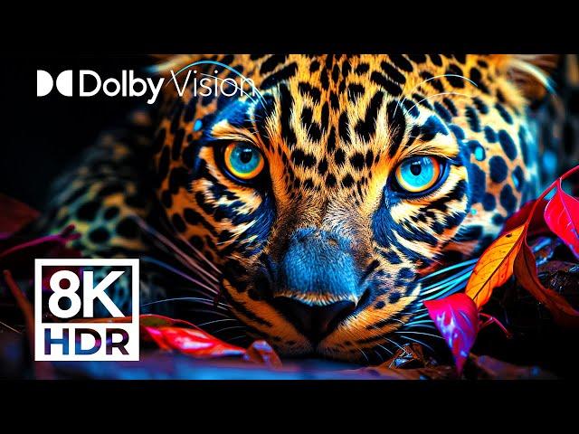 WILDEST ANIMALS DOLBY VISION™ | 8K HDR (COLORFUL INTENSITY)