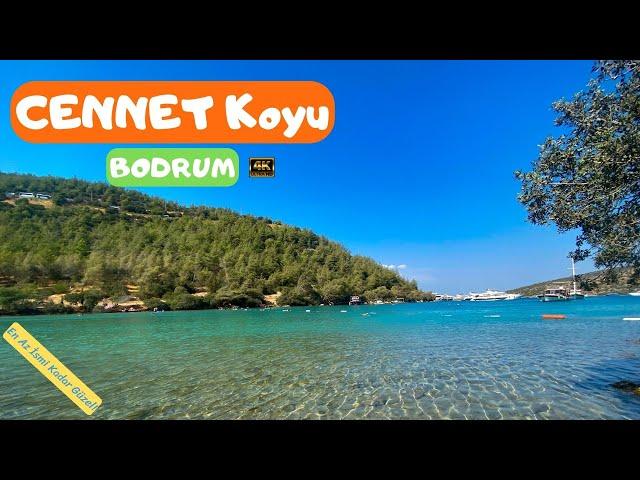 Bodrum CENNET KOYU ve Ücretsiz Kamp Alanı - Burası Gerçekten Cennet! (Bodrum Plajları)