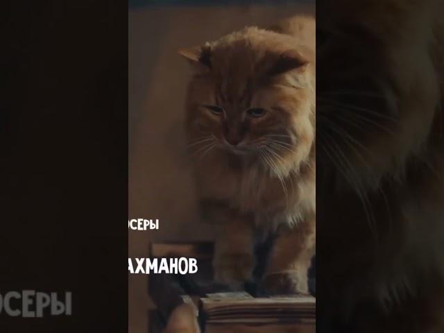 #кошки #котики #котята #новыесериалы #сериалы #новинки2023 #комедиидослез #