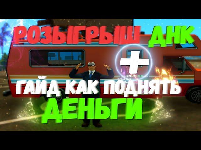 КАК СТАТЬ САМЫМ БОГАТЫМ НА EVOLVE RP И КУПИТЬ СЕБЕ ДНК??? + РОЗЫГРЫШ ДНК [GTA:SAMP]