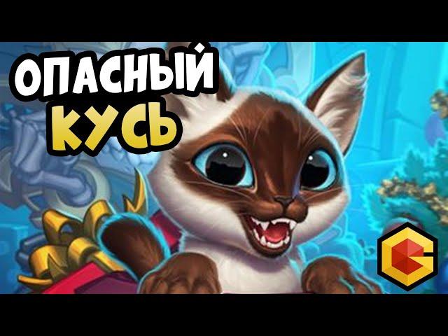 Hearthstone - Gruve Побеждает на Топовых Сборках