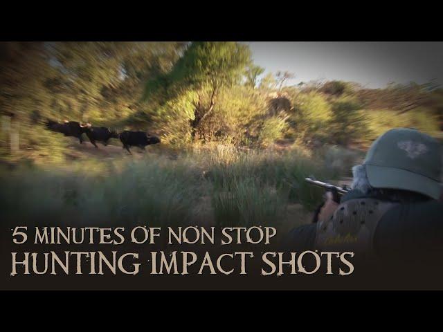 African Hunting Impact Shots