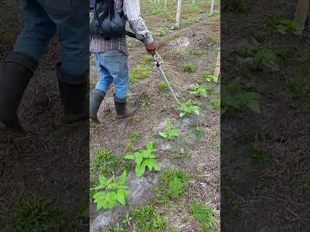 FERTILIZADORA DE ESPALDA- ABONADORA