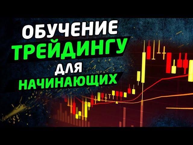 Обучение трейдингу для начинающих трейдеров. Трейдинг