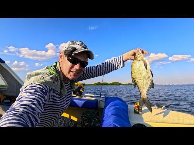 Ring fishing on the Volga. These BREAM don't fit in the fish tank!