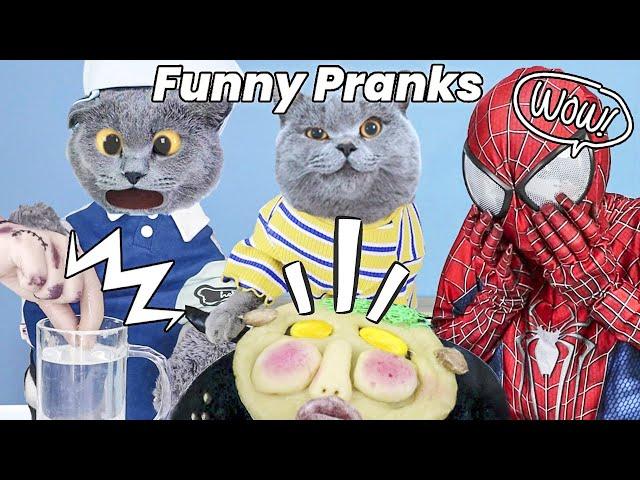 Oscar's Video Makes You Can't Take Your Eyes Off !| Oscar‘s Funny World | New Funny Cat Videos 2023