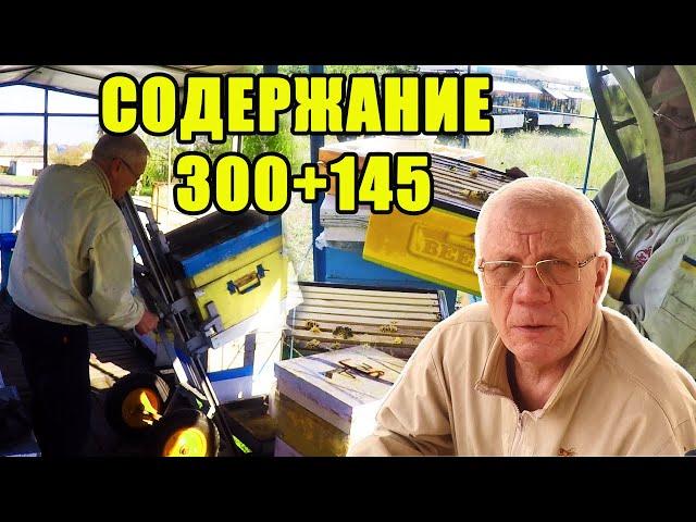 Содержание пчел 300+145 Почему не кормим пчел и собираем гнезда в октябре