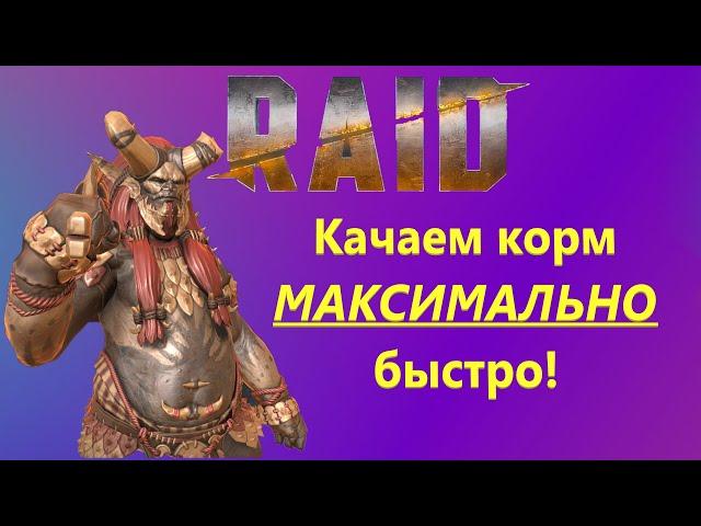 Raid: Shadow Legends Кач корма! Без воды и по фактам!