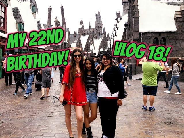 MY 22ND BIRTHDAY! VLOG 18 | NIKKI SARYAN