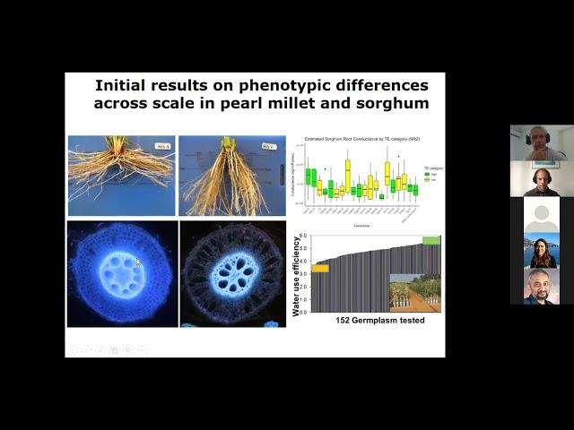 Vincent Vadez - Turn off the tap! Plant traits that help to prepare for future climates