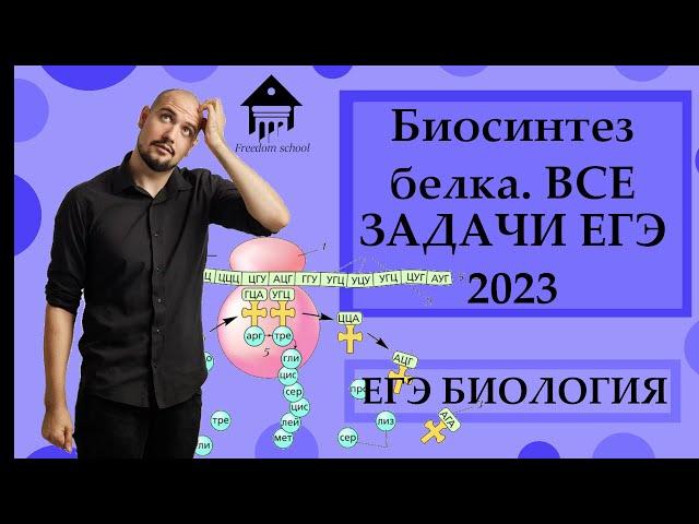 Все задачи на СИНТЕЗ БЕЛКА ЕГЭ 2023 |ЕГЭ БИОЛОГИЯ|Freedom|