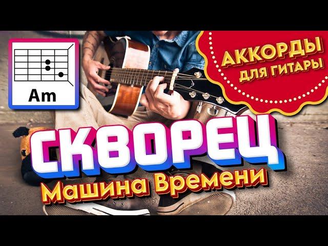 СКВОРЕЦ - МАШИНА ВРЕМЕНИ (АККОРДЫ И ТЕКСТ - В ОПИСАНИИ) КАК ИГРАТЬ (ПРОСТАЯ ПЕСНЯ НА ГИТАРЕ) COVER 