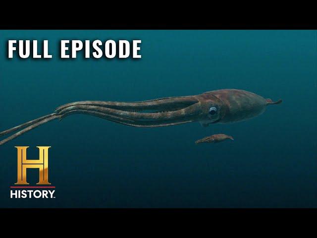 MonsterQuest: GIANT SQUID DISCOVERED (S1, E3) | Full Episode