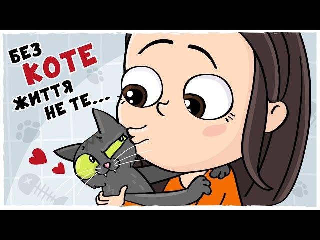 10 signs that a CAT LOVES you (LOLka animation)