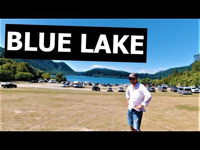 BLUE LAKE NEW ZEALAND ROTORUA  4K