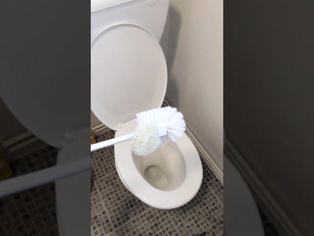 Unclog Toilet With No Plunger Number 1 Life Hack #shorts