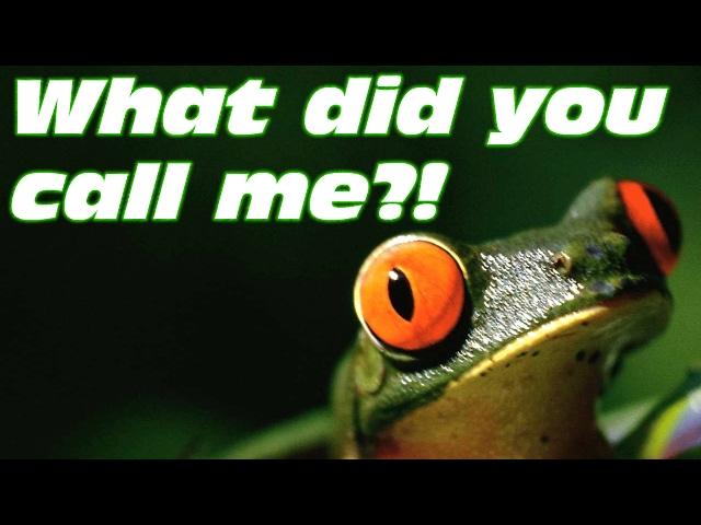 VLOG: What did you call me?! (How my son says the word "Frog")