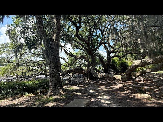 Touring Blake Lively & Ryan Reynold’s wedding site in Charleston!