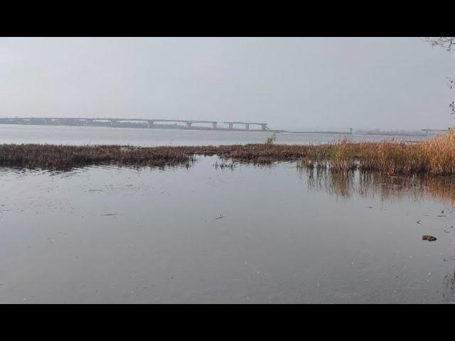 Куча трупов плавает в реке. Чуден Днепр. Отступление оккупантов из Херсона.