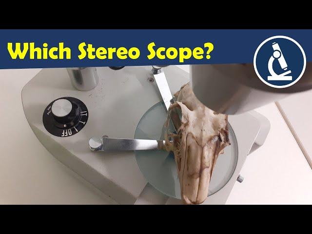 Which Stereo Microscope to buy? 