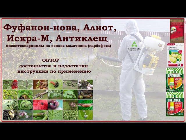 Фуфанон, Алиот, Искра, Антиклещ - обзор средств против вредителей сада