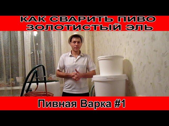 Как сварить пиво Золотистый Эль по Английски  Пивная варка#1