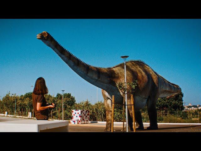 When You Wish Upon A Dinosaur | REBOR Diplodocus